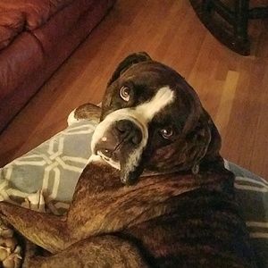 Meet your Posher, Valorie